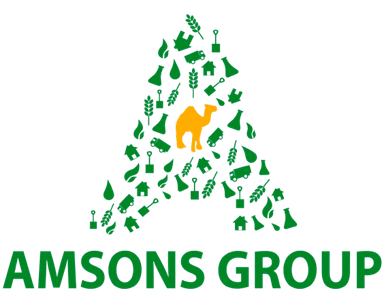 Amsons Group